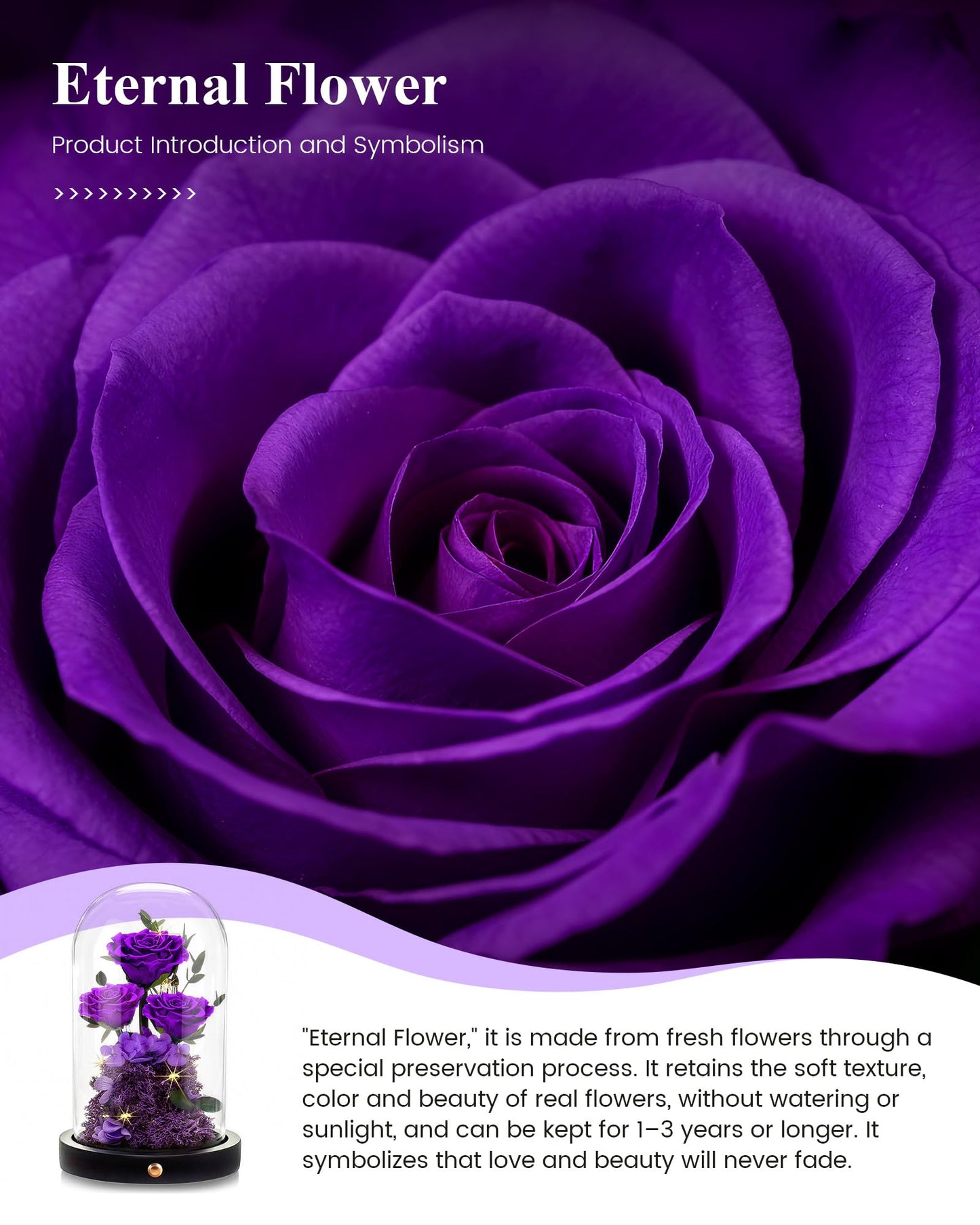 DENIMOMO Mothers Day Roses Gifts for Mom,Forever Purple Preserved Rose in Glass Dome,Mothers Day Real Flowers Roses Gifts for Wife Women Mom Grandma/Purple