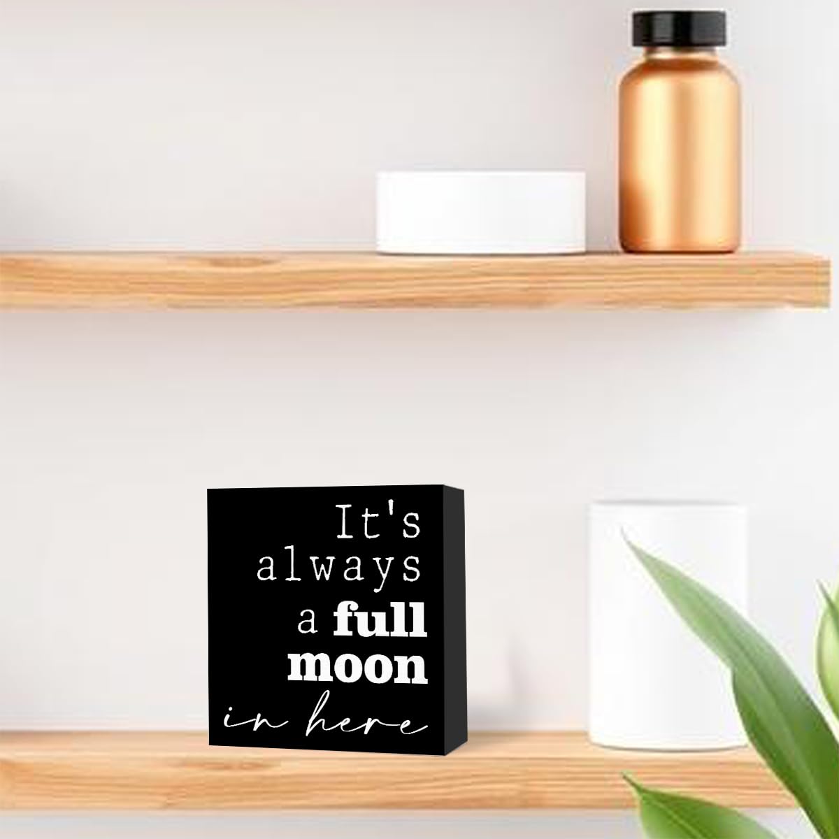 Funny Black Wood Sign - 'It's Always a Full Moon in Here' - Wooden Block Sign for Shelf, Toilet, Tabletop, Desk Decor, Farmhouse Bathroom