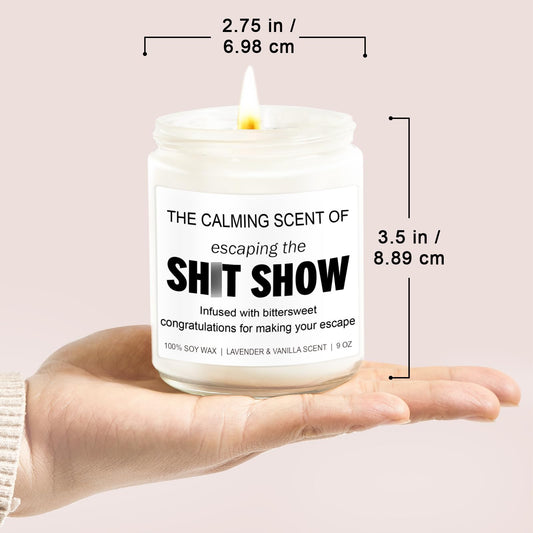 Younift Sarcastic Candles, Going Away, Goodbye, Farewell Gifts for Coworkers - Retirement, Coworker Leaving Gifts for Women, Men - Leaving Job, Moving Away Presents for Friends, Boss, Work Bestie