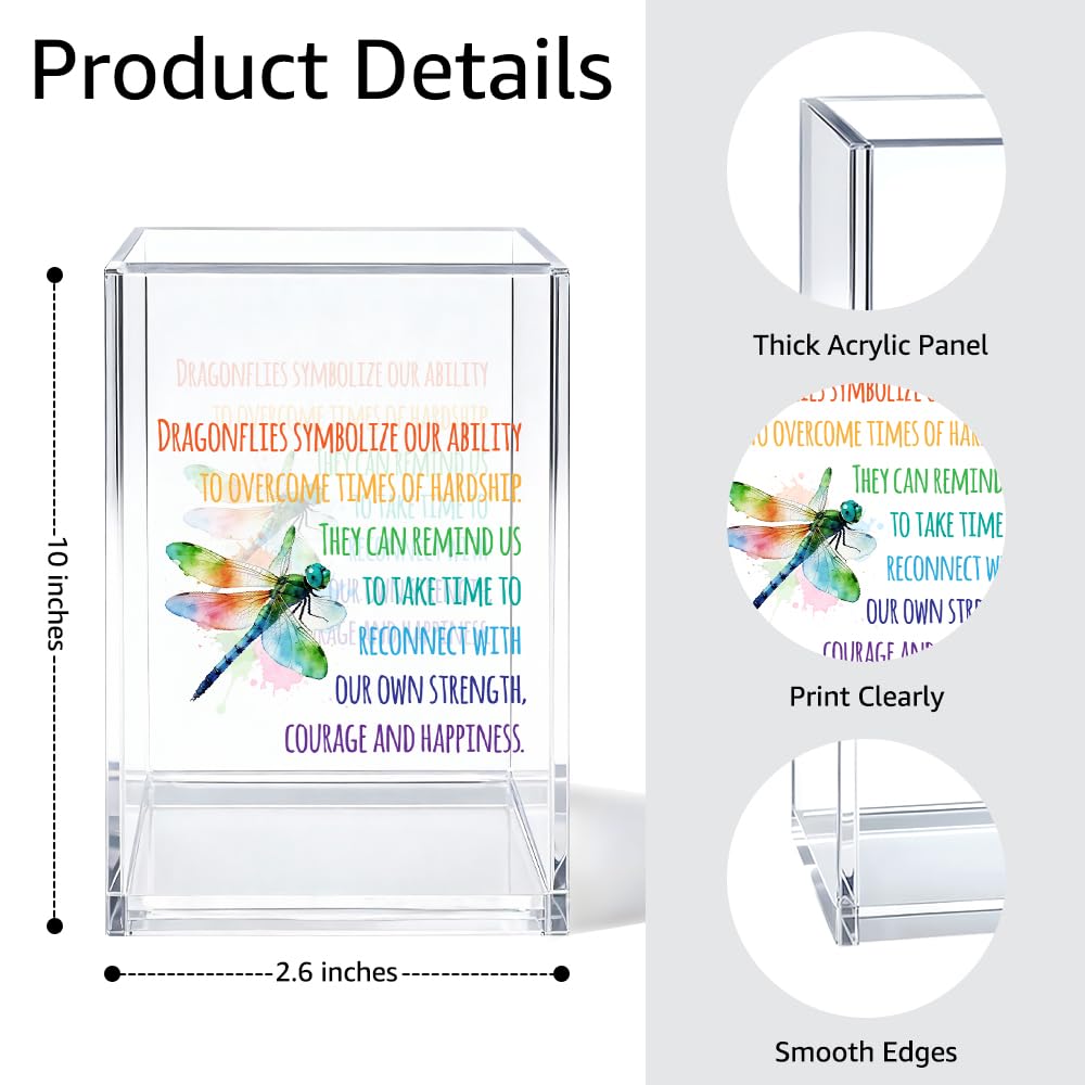 Gkodw Dragonflies Symbolize Our Ability Acrylic Pen Holder Cosmetic Organizer, Funny Dragonfly Pen Pencil Holders for Desk, Desk Accessories Office Gifts for Dragonfly Lover Teacher Coworker Daughter