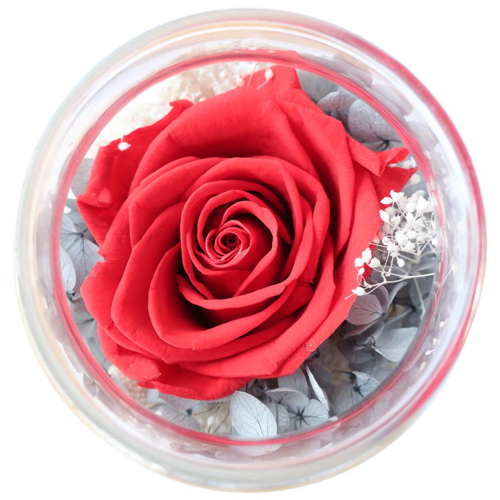 roliys Preserved Real Roses with Colorful Mood Light Wishing Bottle, Eternal Rose，Never Withered Flowers, Table Decor,Christmas Anniversary Valentine's, Red 4.3inch, 1pcs