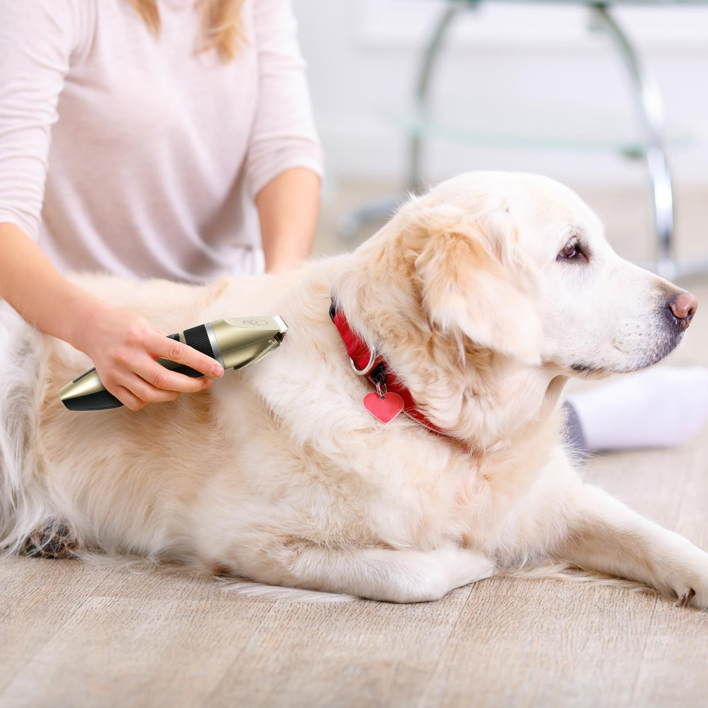 FrutPunch Dog Grooming Kit, Cordless Dog Clippers, Electric Shaving, Low Noise Rechargeable Dogs Hair Trimmer, with a Shaving Head for Feet, Suitable for Cats and Dogs, 2000MA
