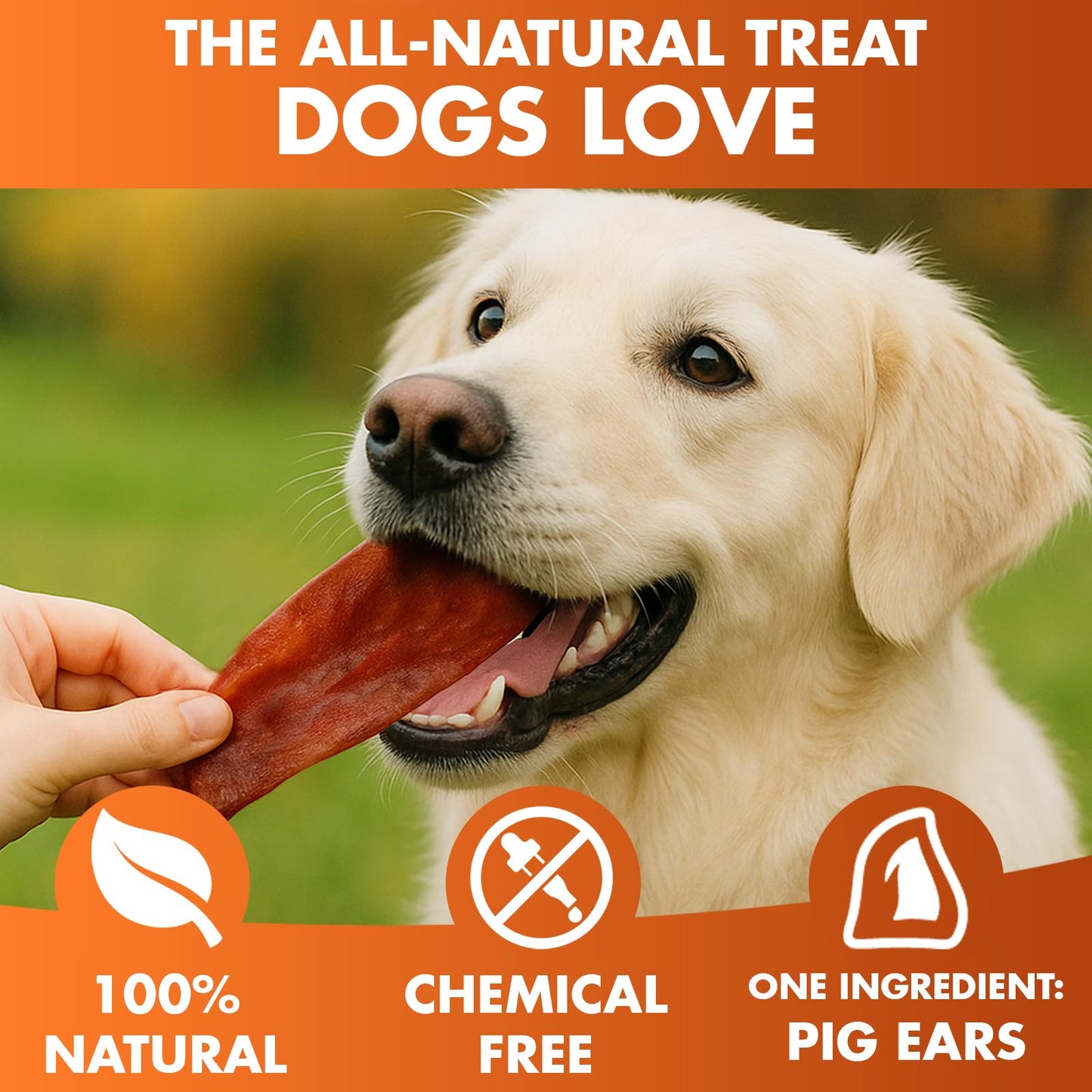 BRUTUS & BARNABY Whole Pig Ears for Dogs, 12 Ct. – All-Natural Single Ingredient Dog Chews, Slow Cooked & Fully Digestible Rawhide Alternative