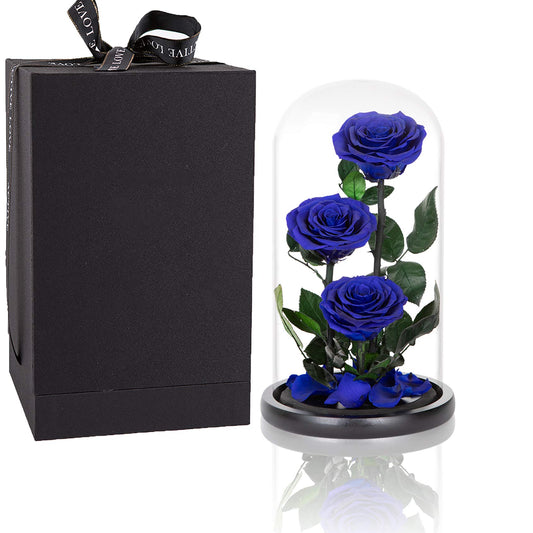 Preserved Roses Handmade Preserved Flowers in Glass Dome, Blue Rose Never Withered, Birthday Gifts for Women (13 inch)