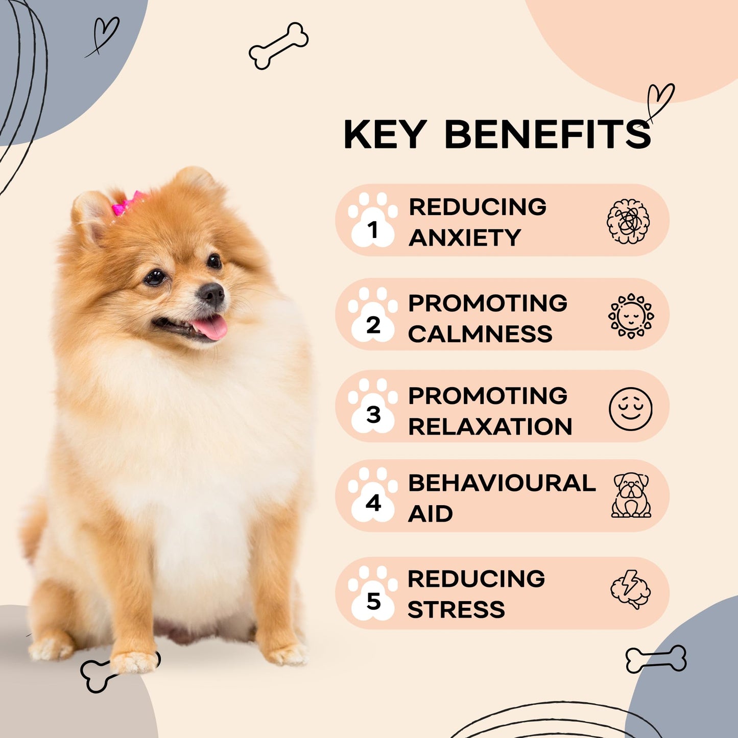 LUNA + RUFUS Upgraded Heartbeat Puppy for Dogs with Blanket, Heat Packs and Chew Toy - Pet Anxiety Relief and Calming Sleep Aid - Perfect Dog Stuffed Animal for Behavioral Crate Training - Dog Toys