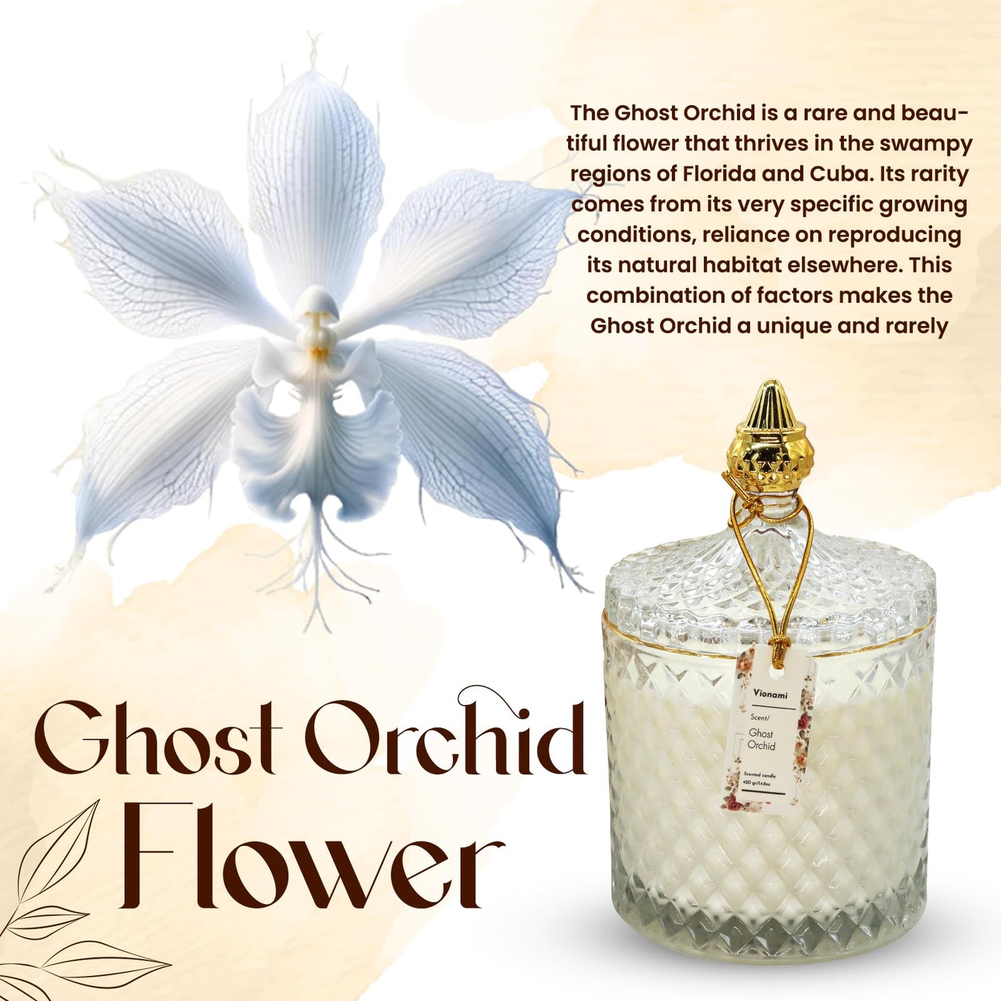 VIONAMI Luxury Scented Candle Gift – Ghost Orchid Rare Flower Fragrance in Elegant Glass Jar, Decorative Soy Candles Gifts for Women, Long-Lasting 80 Hr, 14.8 oz, Luxury Candles for Women