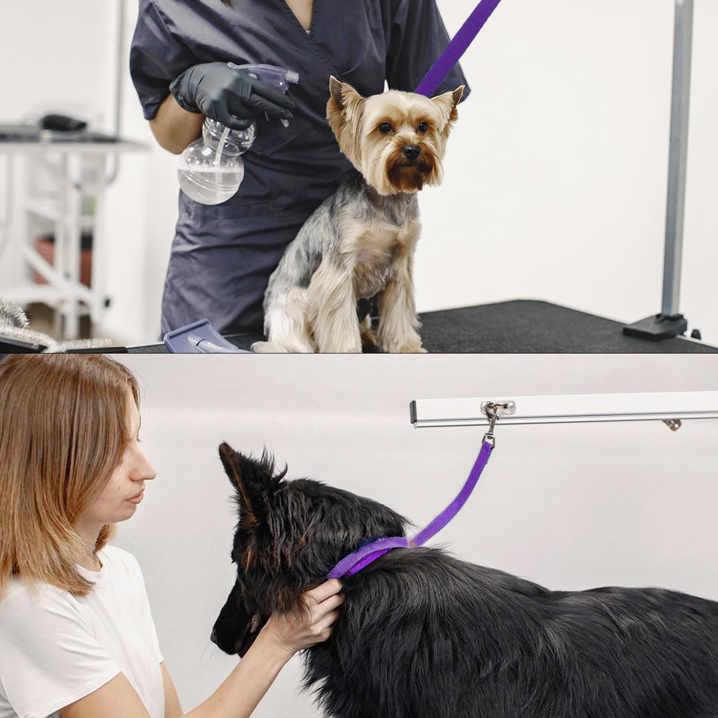 Heclia Pet Dog Grooming Loops Nylon Restraint Noose Adjustable Fixed Dog Cat Safety Rope for Pet Grooming Table at Home Dogs Hanging Harness for Nail Trimming Slip Leads 80 cm Safety Tether Bel 2pcs
