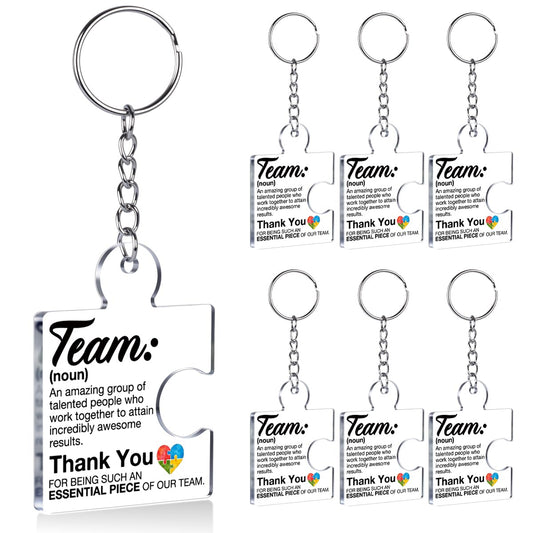 DRMNPKT Set of 6 Team Appreciation Gifts for Coworkers Bulk, Employee Appreciation Gifts Thank You Keychain for Team Staff Teachers, Teamwork Gift Office Puzzle Piece Acrylic Keychains, Multicolor