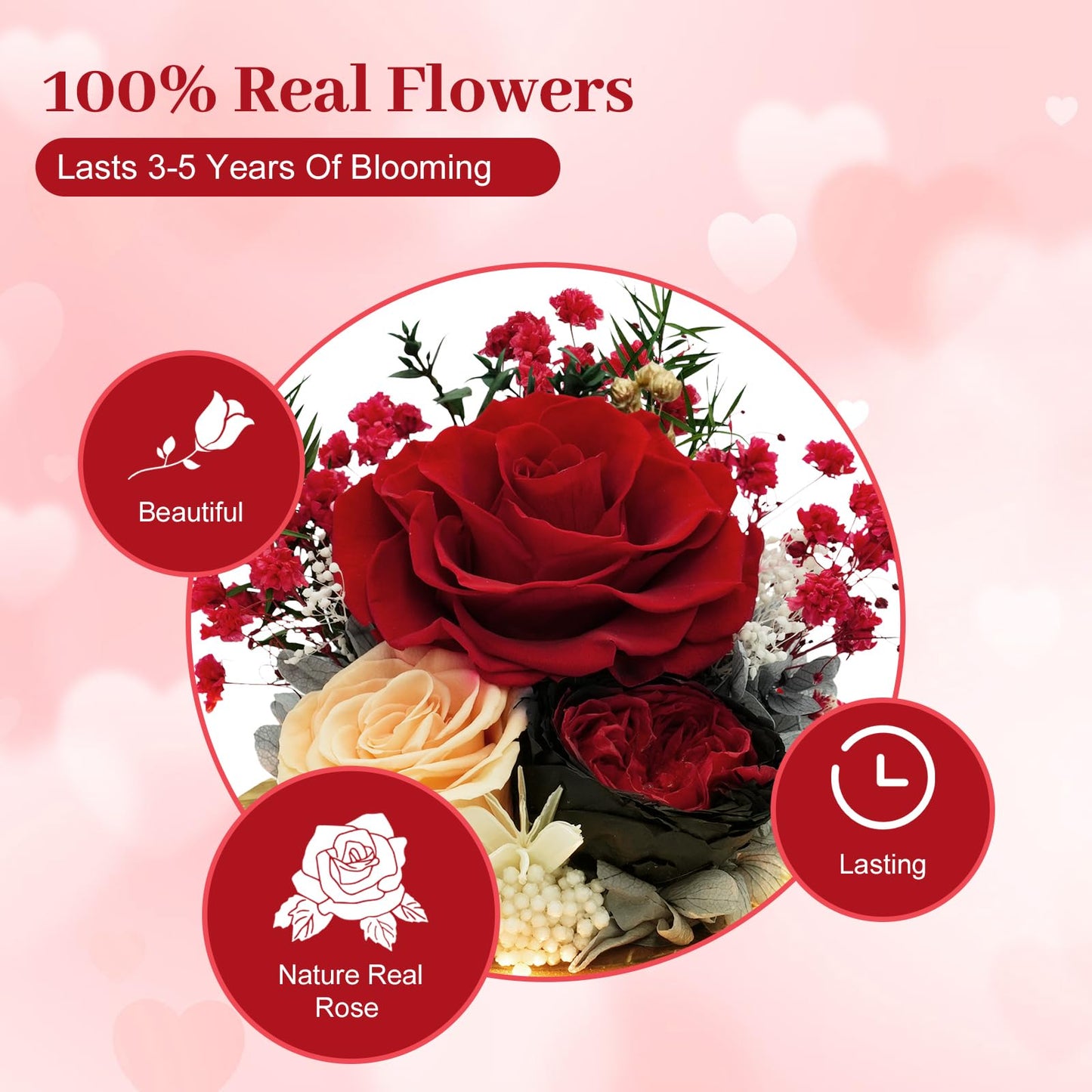 DAKEYUN Preserved Flowers Birthday Gifts for Women Preserved Rose in Glass Dome Forever Fresh Flowers for Delivery Prime Red Eternal Rose Gifts for Her Valentines Day Anniversary for Wife Girlfriend
