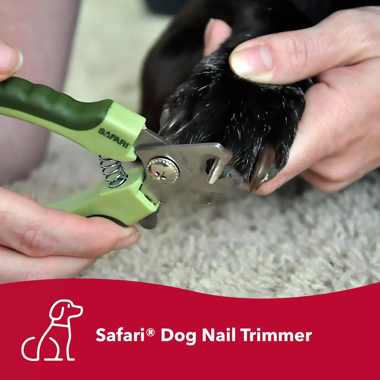 Coastal Pet Safari Dog De-Matting Comb & Professional Dog Nail Trimmer - Comb & Brush for Dogs with Medium to Long Hair & Dog Nail Clippers for Grooming - Bundle