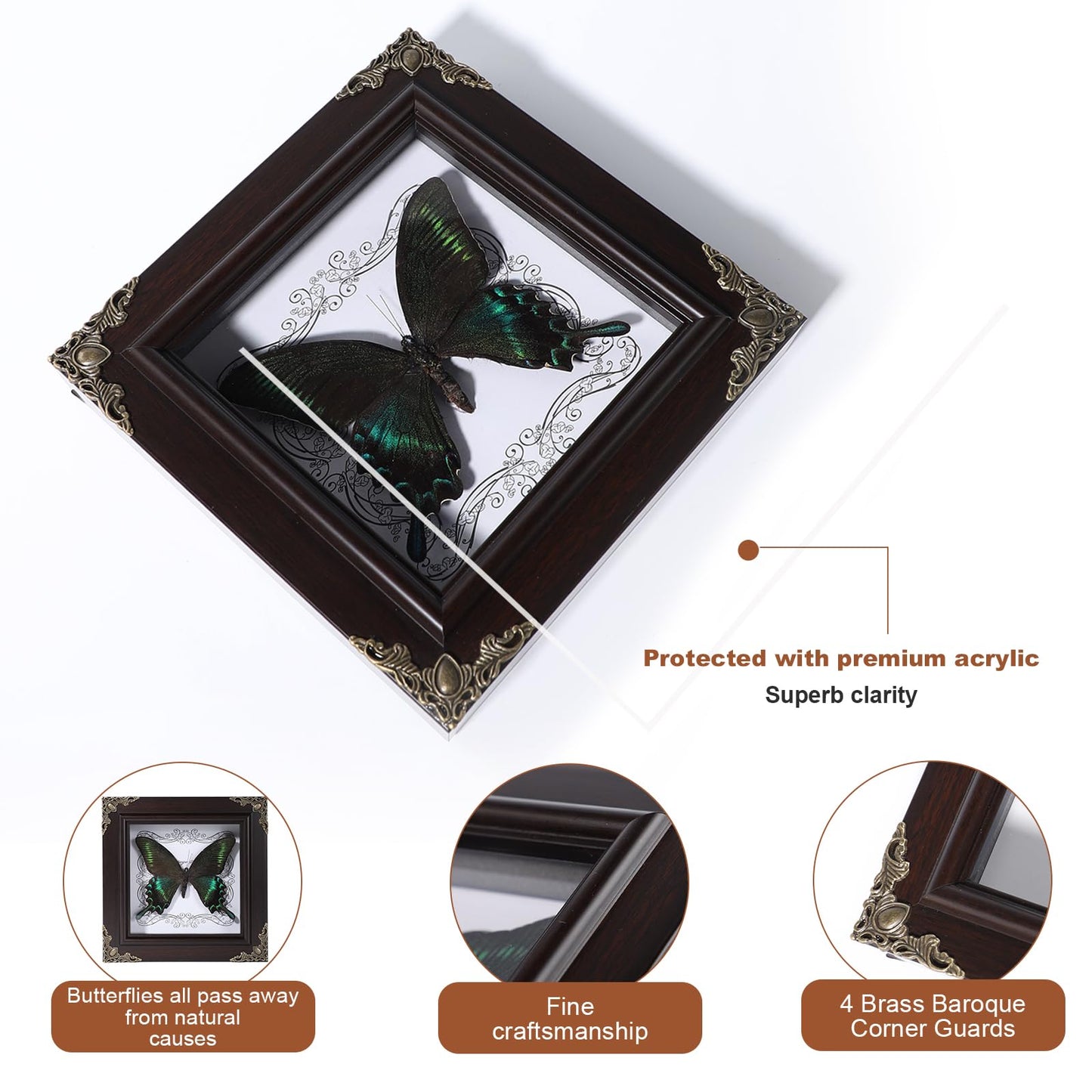 Real Butterfly Framed Home Decor,Taxidermy Shadow Box for Goth Dark Academia Wall Art Decor,Gothic Furniture Gifts for Victorian Whimsigoth Fantasy Moody Witchy Room Bedroom Decor