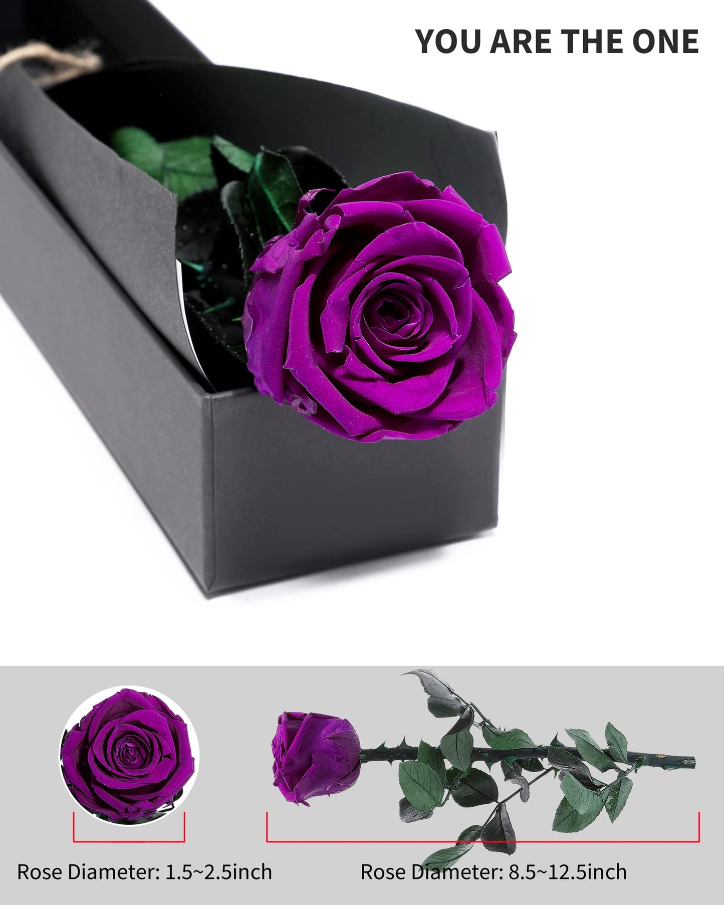 Purple Flowers for Delivery Prime, Preserved Purple Roses Flower Gifts for Women, Real Roses Single Rose Gifts for Her, Mom Birthday Gifts from Daughter, Valentines Flowers