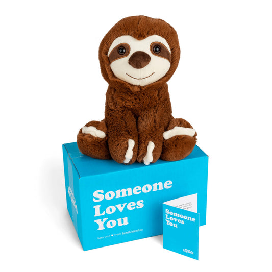 SendAFriend Sam The Sloth Stuffed Animal Care Package, Someone Loves You Box, Great Gift for Any Reason (Love You Notecard)