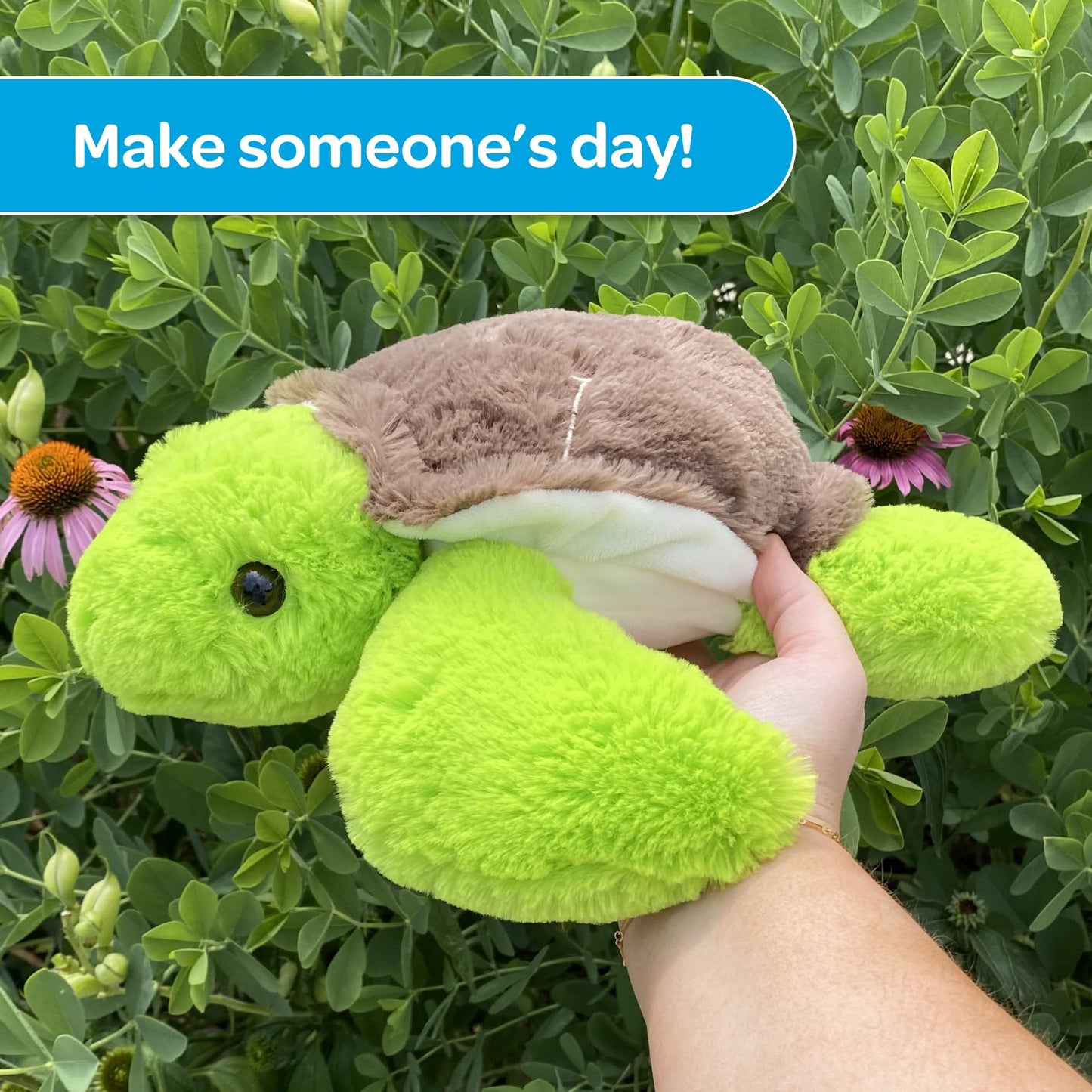 SendAFriend Tucker The Turtle Stuffed Animal Care Package, Someone Loves You Box, Great Gift for Any Reason (Miss You Notecard)
