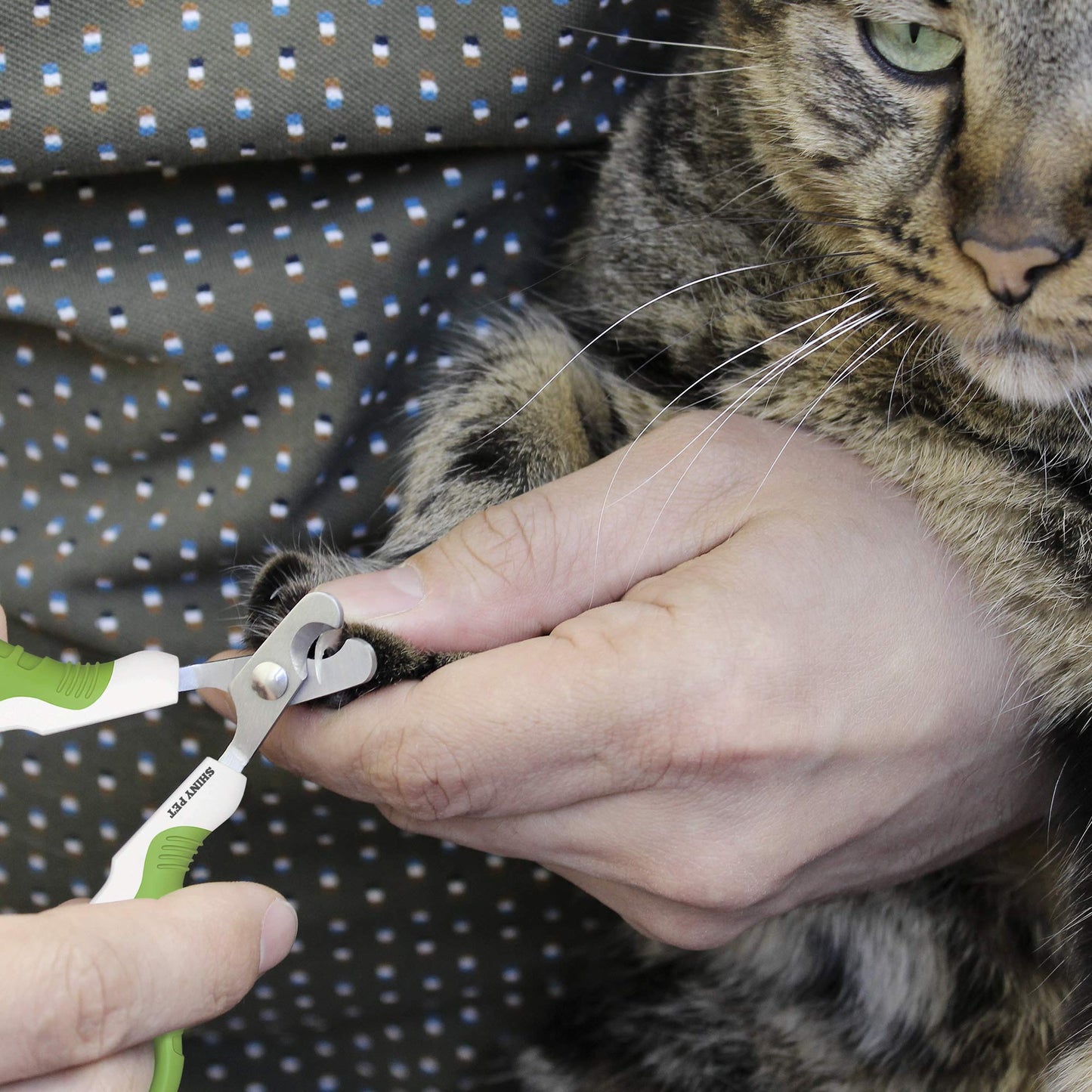 Pet Grooming Tool Bundle Set: Pet Nail Clippers [Tool #5] + Dog Nail Clippers [Tool #12]