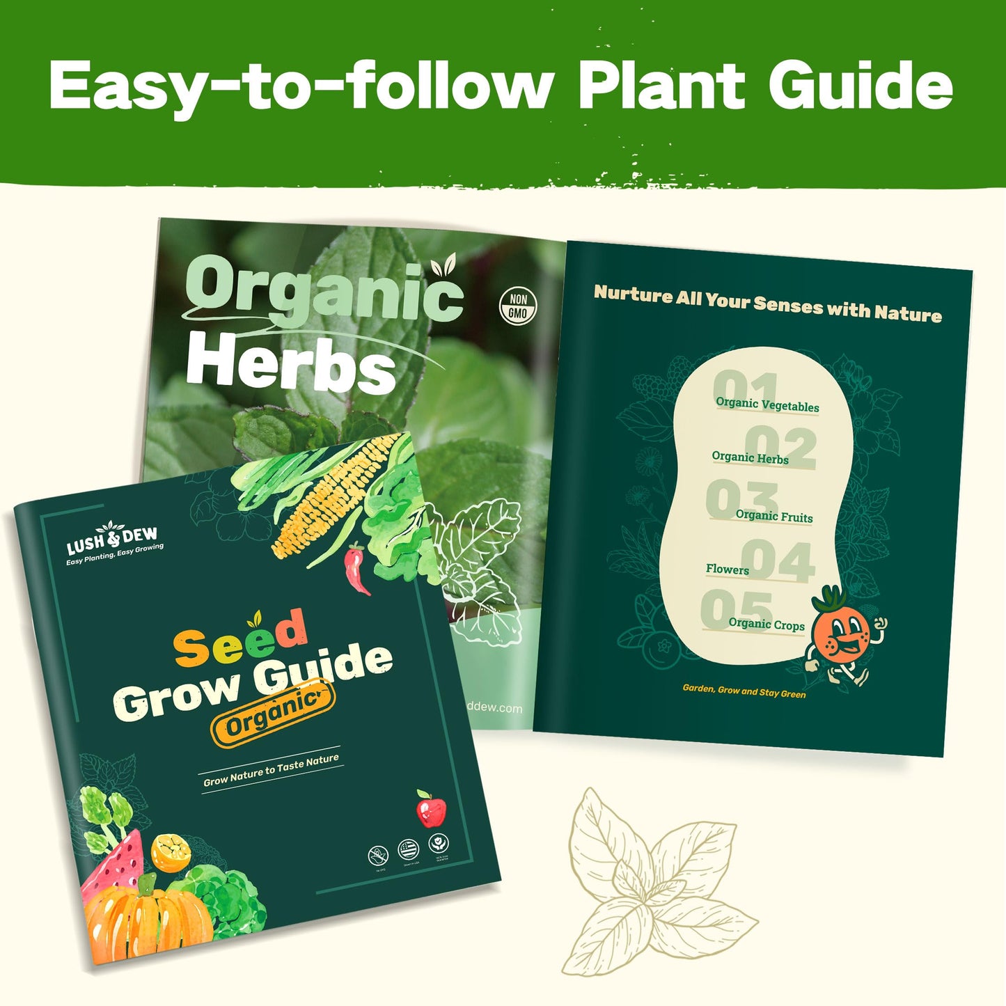 Lush&Dew Year-Round USDA Zone 9 Seed Bank, Gardening Gifts for Women Men, 32 Varieties Non-GMO Heirloom Seeds of Vegetables Herbs Fruits, Gift for Mom Dad, Survival Seed Kit for Raised Garden Beds
