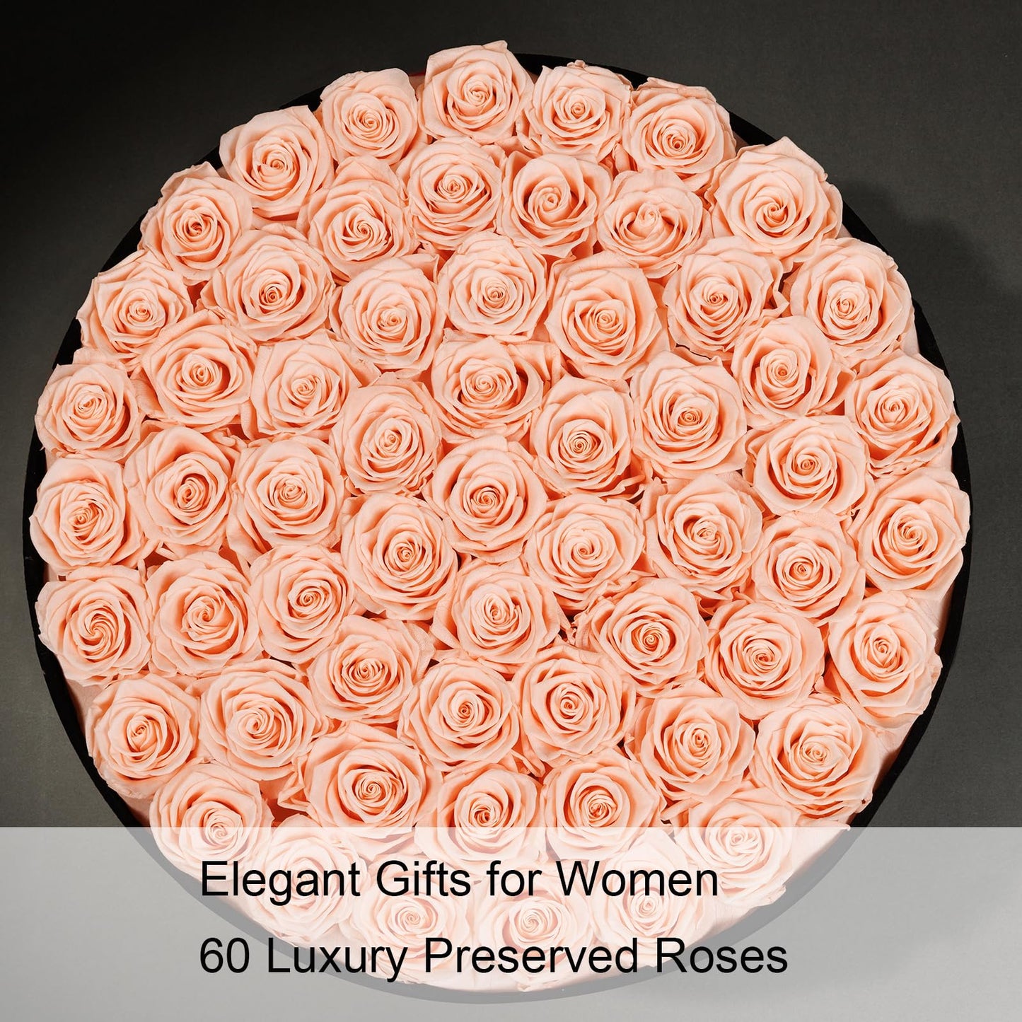 Gifts for Women – NATROSES 60 Preserved Roses in Luxury Black Velvet Box, Preserved Flowers for Delivery Gift for Her, Elegant Rose for Birthday, Mother’s Day, Christmas (Champagne Pink)