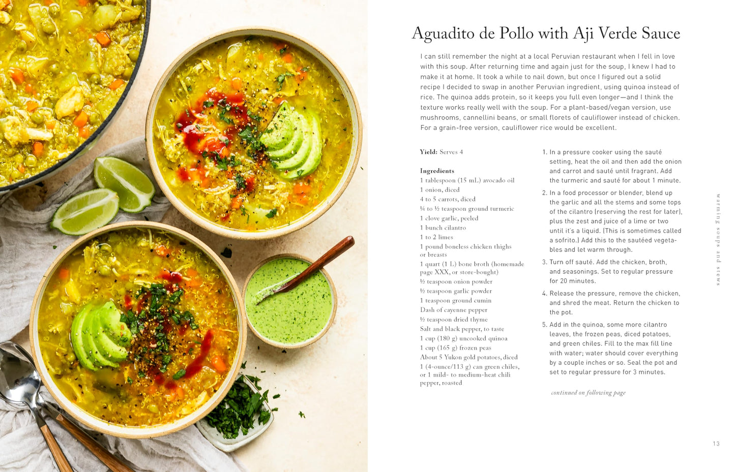 A Healthier Home Cook: Whole Food Recipes, Techniques, and Tips for Families That Want to Eat A Little Less Toxic