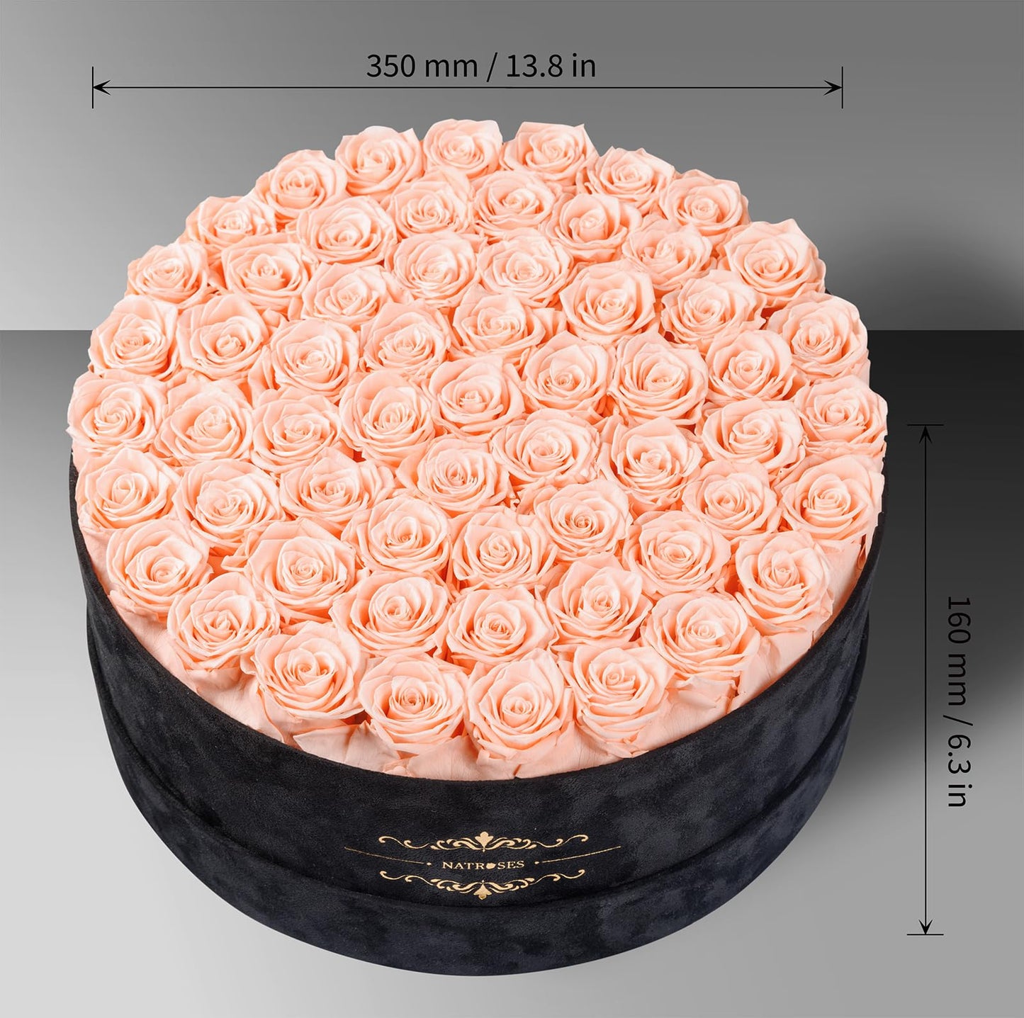 Gifts for Women – NATROSES 60 Preserved Roses in Luxury Black Velvet Box, Preserved Flowers for Delivery Gift for Her, Elegant Rose for Birthday, Mother’s Day, Christmas (Champagne Pink)