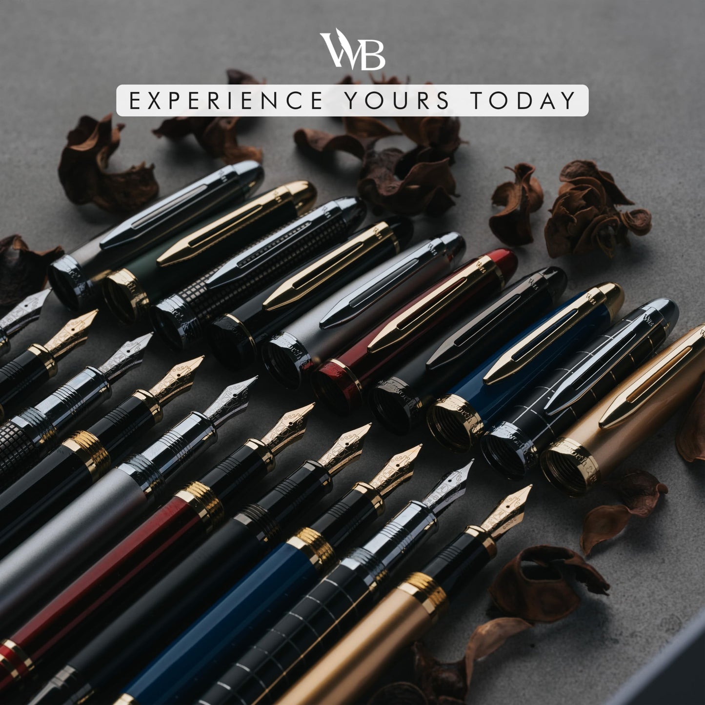Wordsworth & Black Majesti Fountain Pen-(Black), Luxury Case, 24K Gold Finish; 18K Gilded Medium Nib- Ink Cartridges, Refillable Ink Converter-Calligraphy Pen-Best Business Gift Set for Men & Women