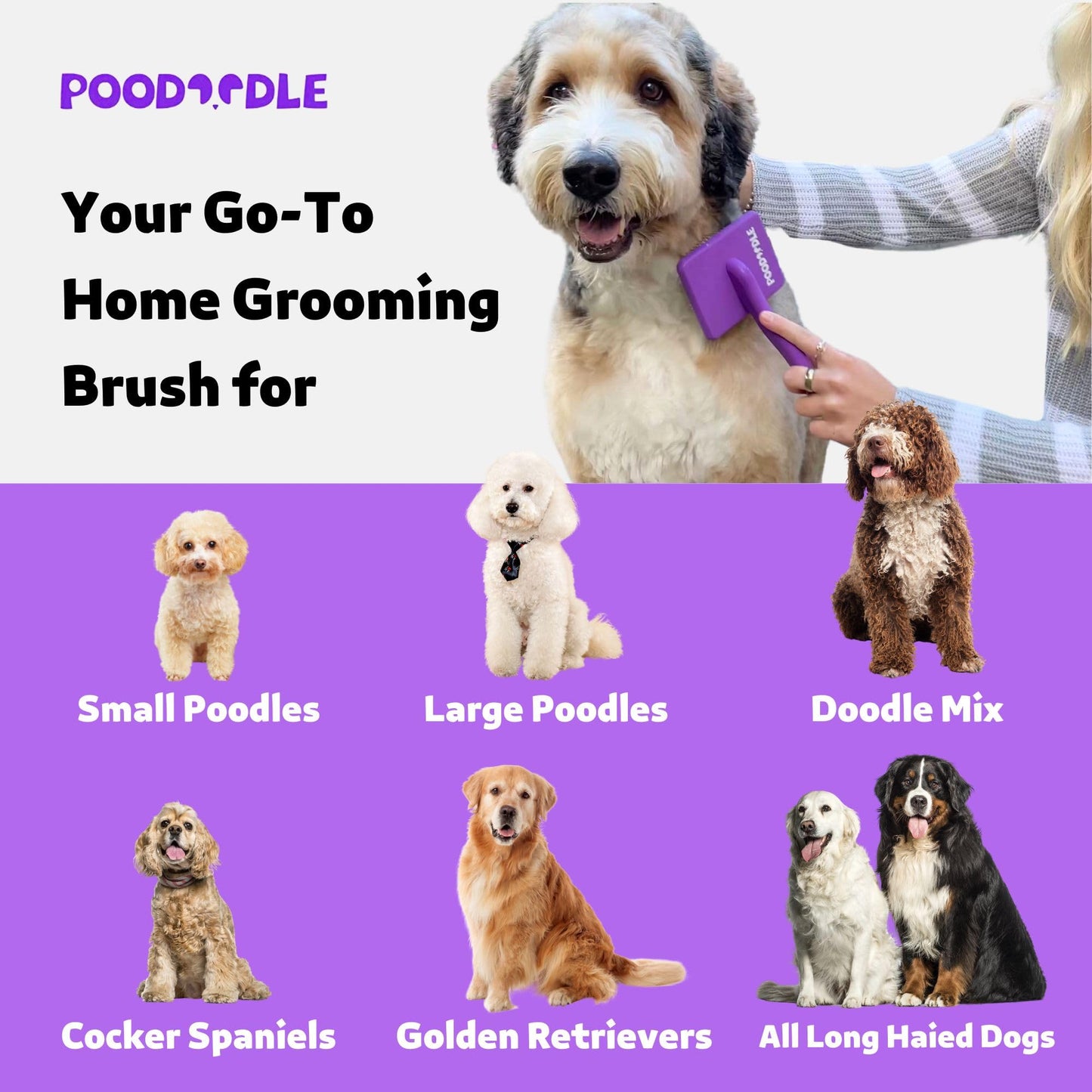 Poodoodle Dog Slicker Brush, Grooming Tool for Poodle, Doodle, Goldendoodle & All Long Haired Dogs, Long Pin Wood Brush Pefect for Dematting & Detangling, Effortless Grooming Pet Hair At Home - Large