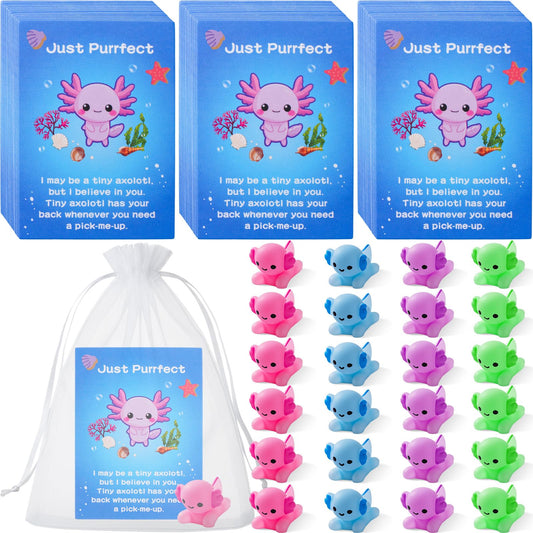 Soulchen 24 Set Employee Appreciation Gift Bulk for Coworker Axolotl Squeeze Gifts for Stress Relief Motivational Inspirational Note Card, Organza Bag Staff Valentine's Day Thank You Gift