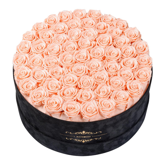 Gifts for Women – NATROSES 60 Preserved Roses in Luxury Black Velvet Box, Preserved Flowers for Delivery Gift for Her, Elegant Rose for Birthday, Mother’s Day, Christmas (Champagne Pink)