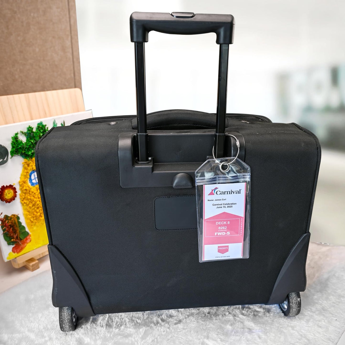 Cruise Ship Essentials 2025, 4 Cruise Luggage Tag Holders, 2 Retractable Cruise Lanyard, 2 Waterproof Phone Pouch and 1 Travel Clothesline for Cruise Ship, Royal Caribbean, Carnival Cruise Lines