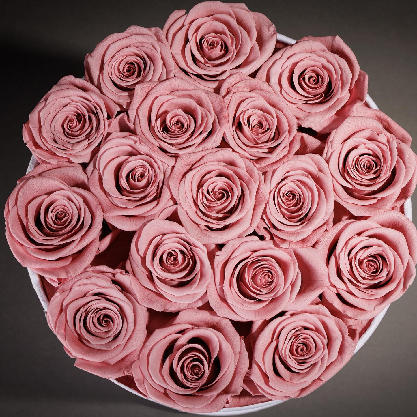Prifroti 17 Flowers in a Luxury Suede Box, Birthday Gifts for Women, Preserved Flowers, Mothers Day Roses Gift for Mom, Dusty Rose