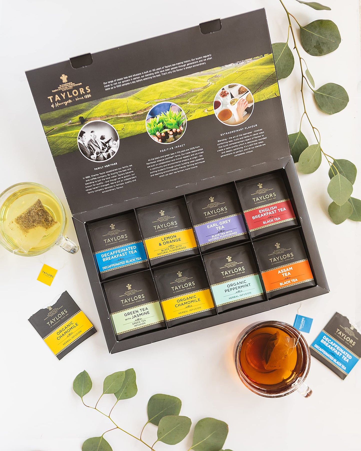 Taylors of Harrogate Assorted Specialty Teas Sampler, Variety Pack Gift Box, Individually Wrapped Bags, 48 Count (Pack of 1), Premium Black, Green & Herbal Teas, Mixed Caffeinated & Caffeine-Free Selection, 48 Teabags