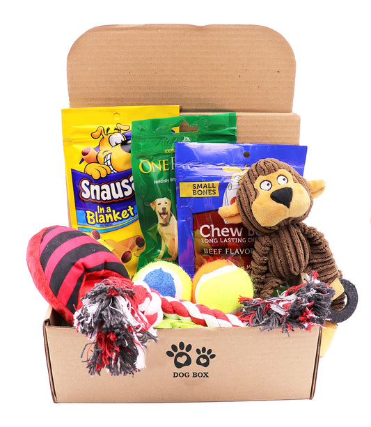Fansco Dog Gift Box for Small Dogs & Puppies – Dog Birthday Gift Set with Toys & Treats, New Puppy Welcome Kit, Pet Gift Basket for Dogs
